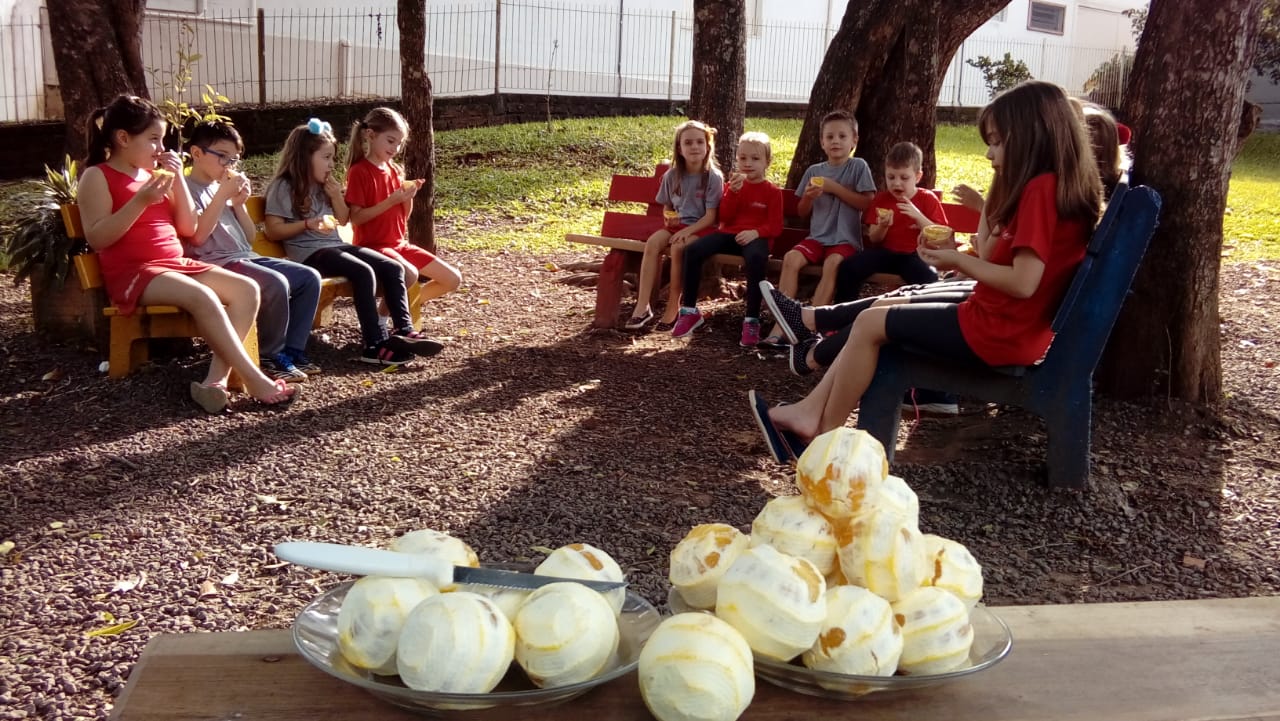 A Laranja Colorida Escola De Ensino Médio Anchieta